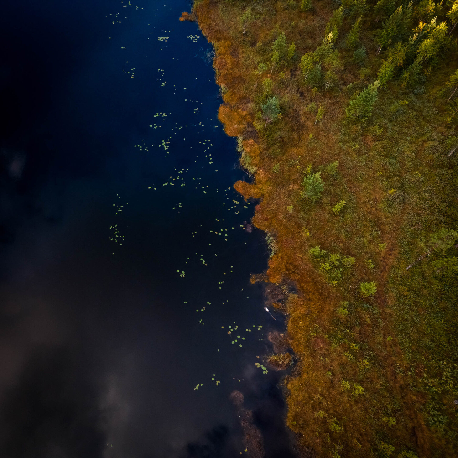 Ammattimaista dronekuvausta Jyväskylässä