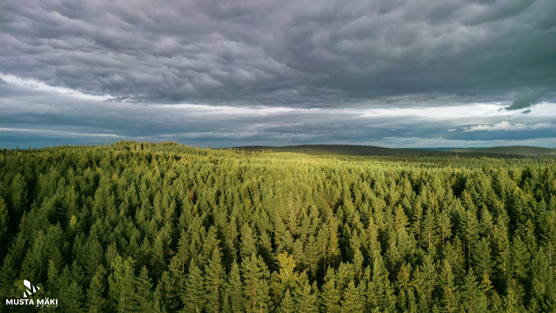 ammattivalokuvaaja Keski-Suomessa